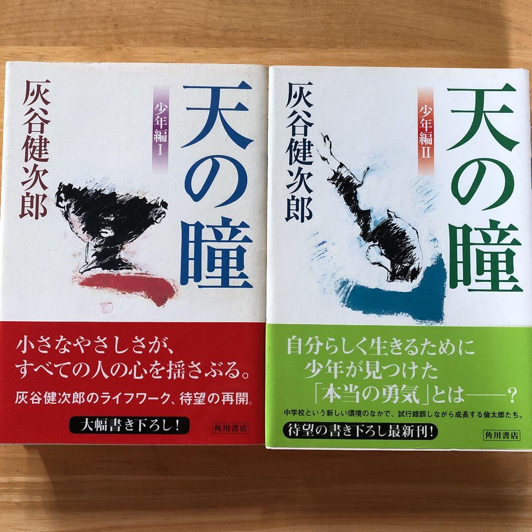 絶版・希少　天の瞳 7冊セット　灰谷健次郎　単行本　まとめ売り 絶版・希少 天の瞳 7冊セット 灰谷健次郎 単行本 まとめ売り