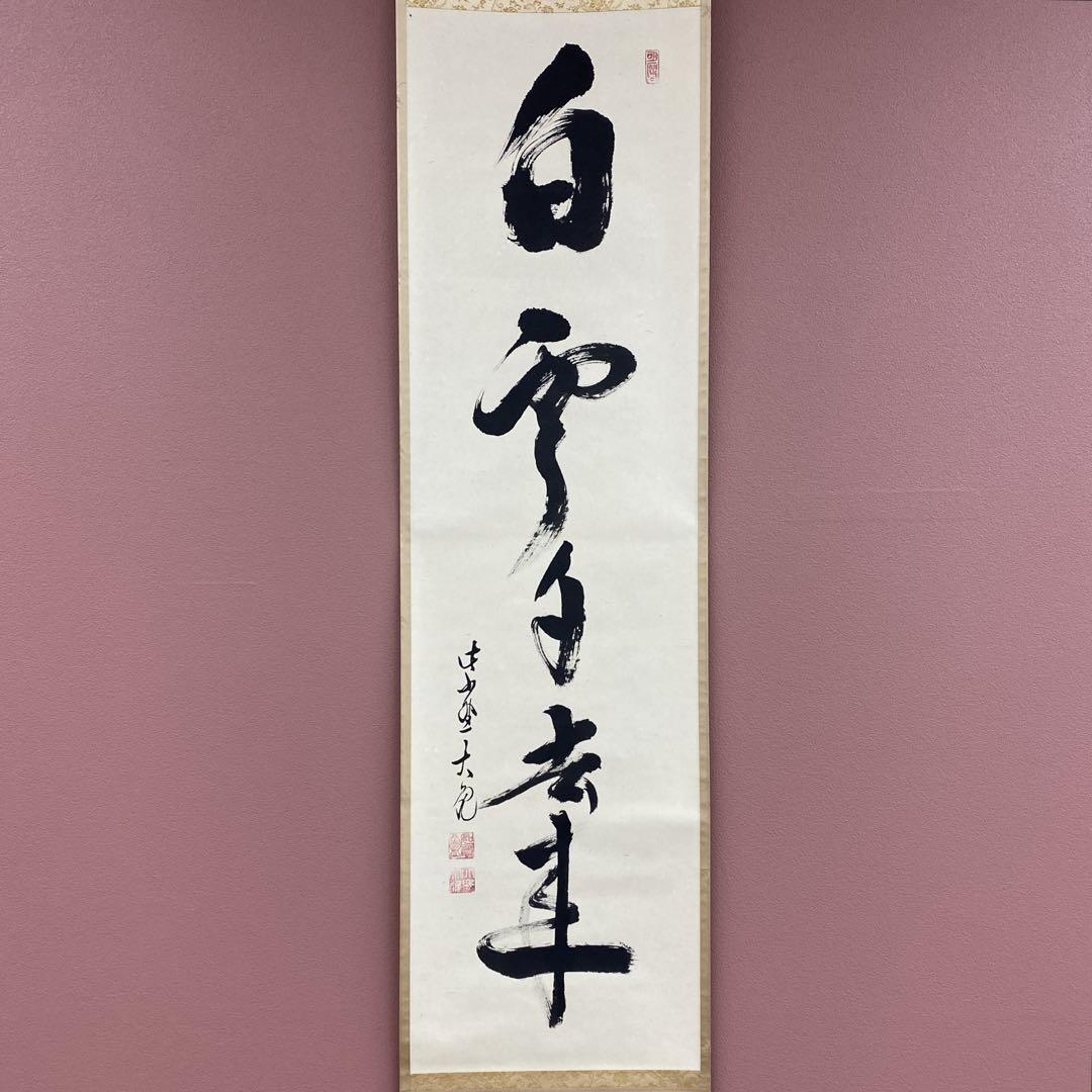 美品 掛け軸 大徳寺 立花大亀作「白雲自去来」共箱 中島静好堂