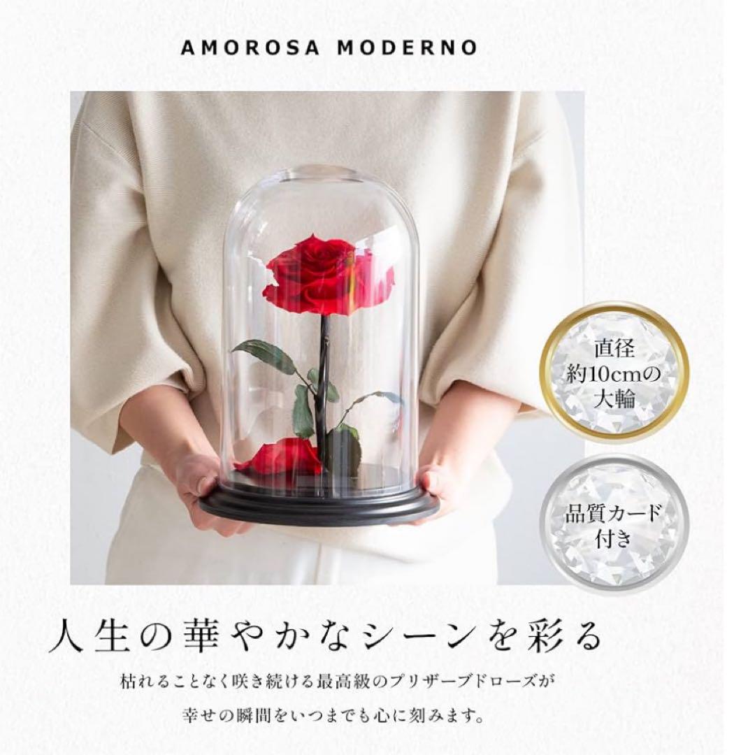 AMOROSA 赤いバラ ガラスドーム
