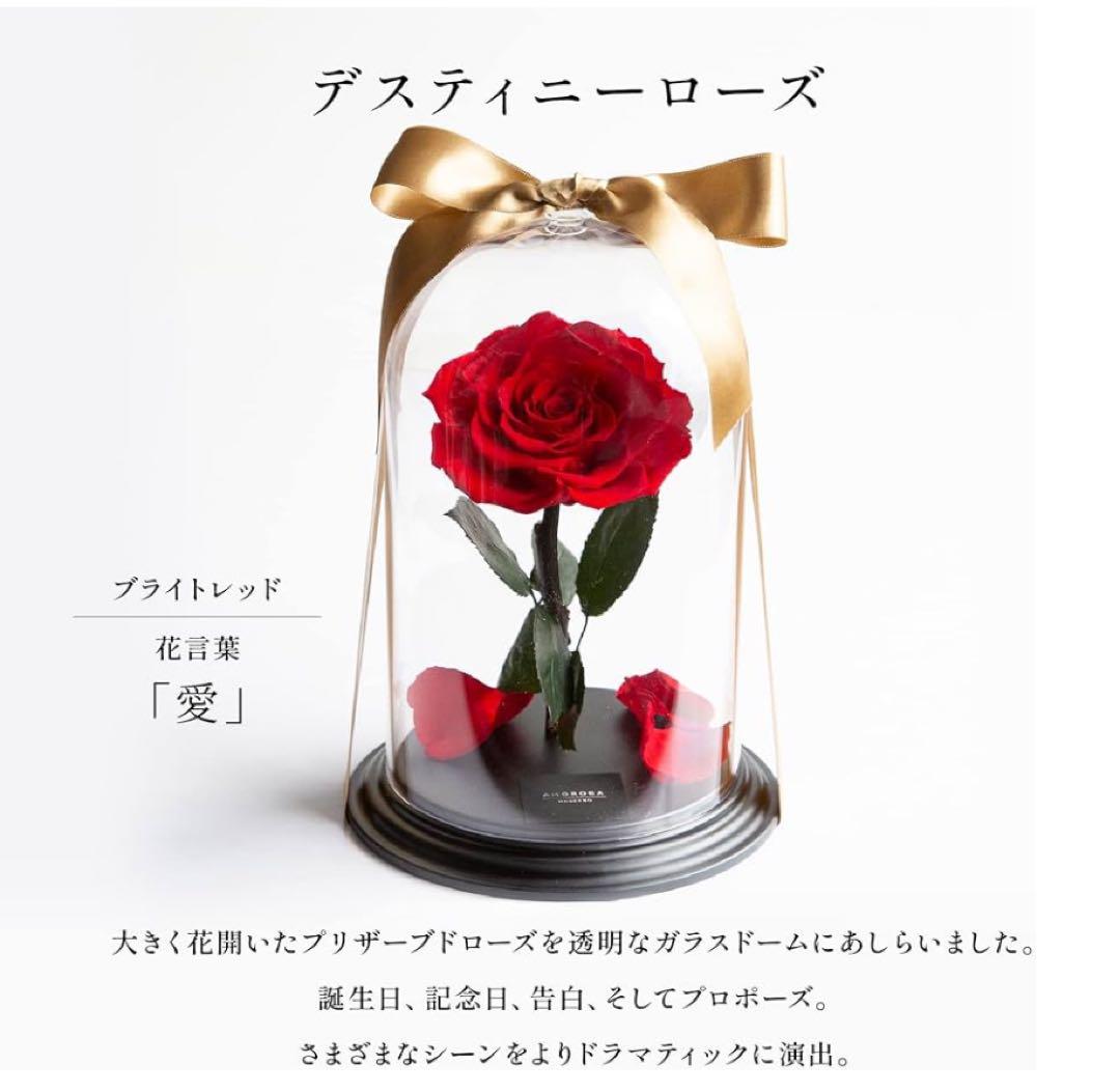 AMOROSA 赤いバラ ガラスドーム