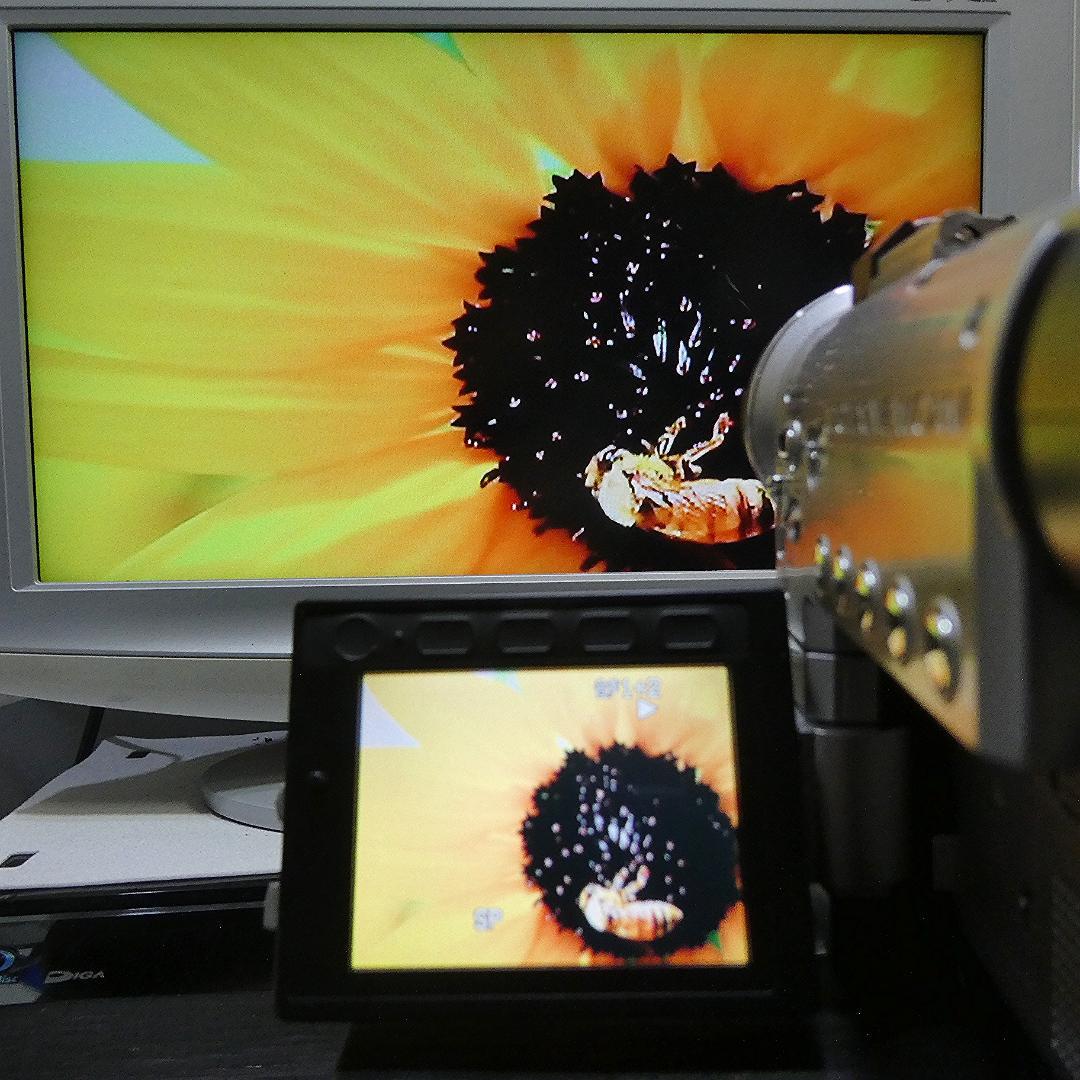 動作良好 シャープ VL-PD7 MiniDV ビデオカメラ デジタル