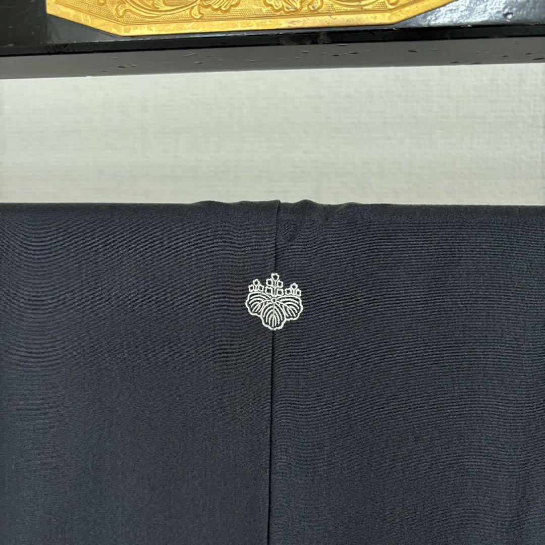 金駒刺繍 紋柄 上品 裄68 素敵なデザイン 付下げ 訪問着 正絹 T-3673