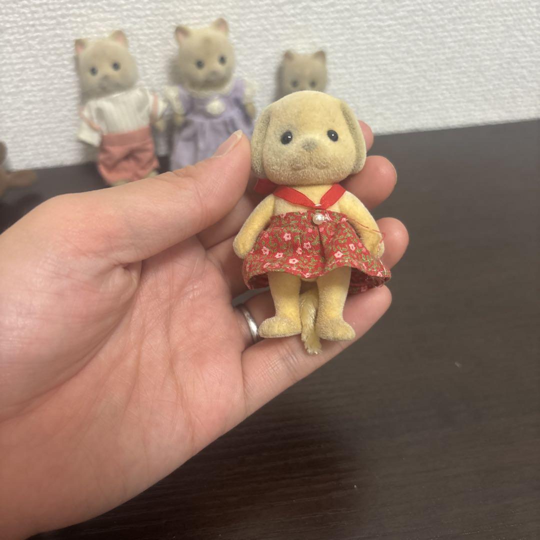 クリームネコ ブチイヌ