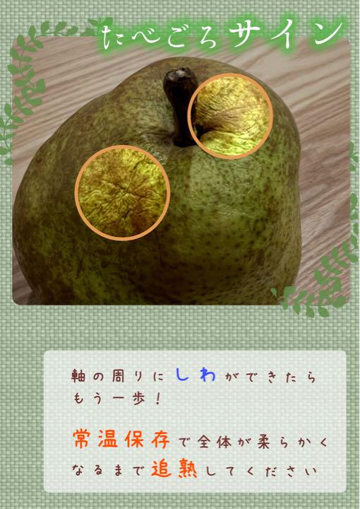 山形県産ラフランス 6Lサイズ 3kg 訳あり 西洋梨 - メルカリ 山形県産ラフランス 6Lサイズ 3kg 訳あり 西洋梨 - メルカリ
