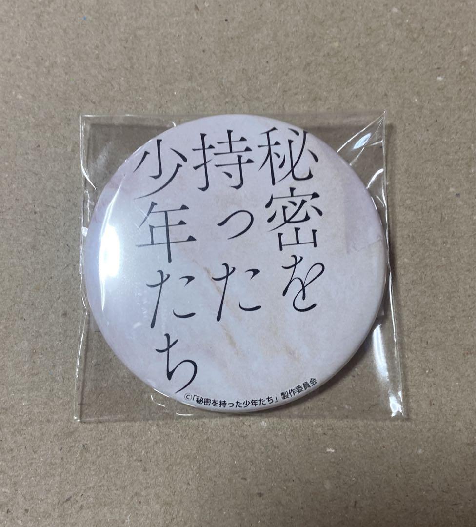 龍宮城 秘密を持った少年たち 缶バッジ Ray 時間指定不可】 龍宮城 秘密を持った少年たち 缶バッジ Ray