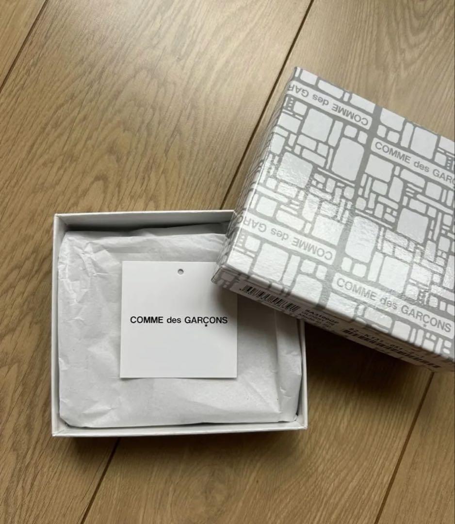 COMME des GARÇONS CLASSIC PLAIN (SA3100)