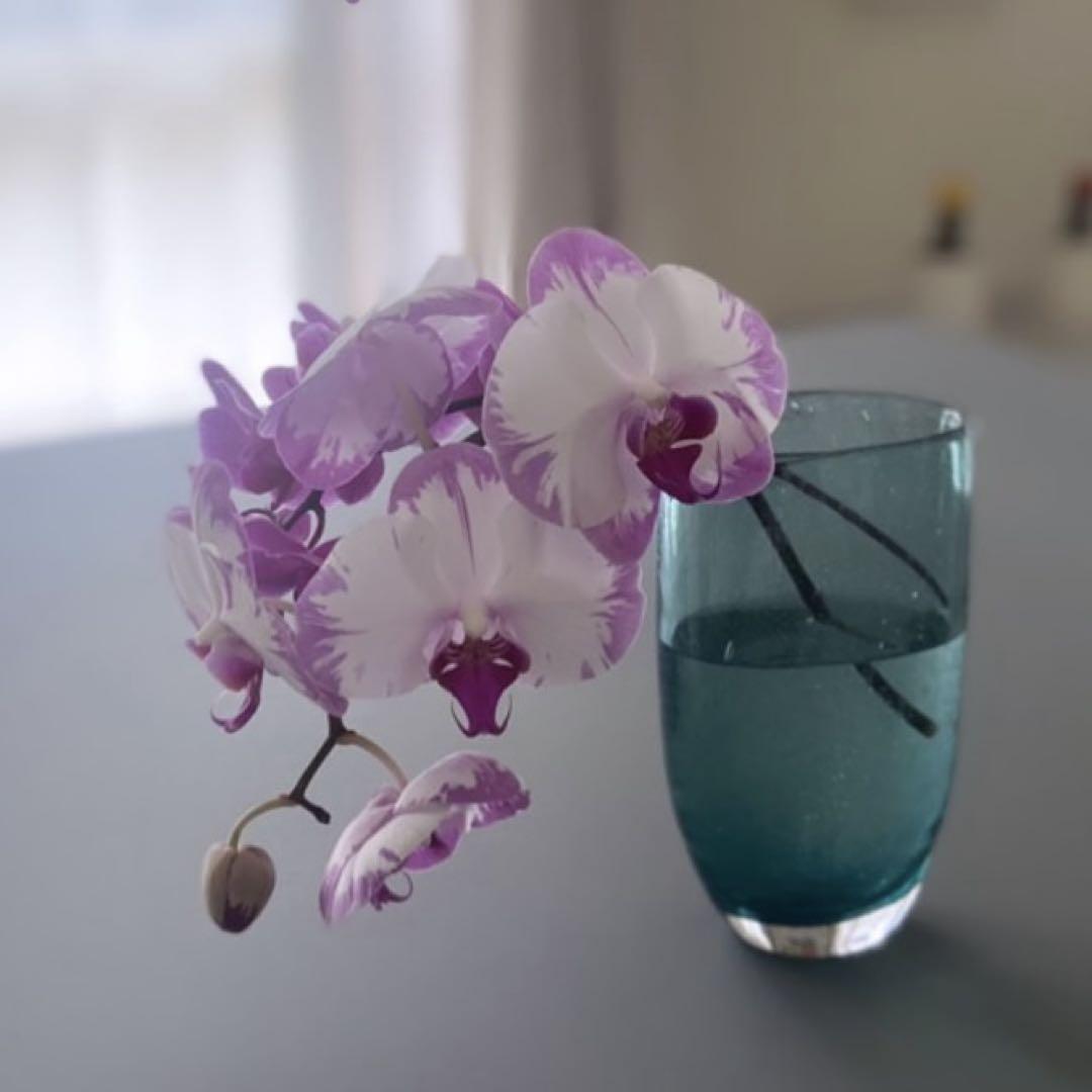 HENRY DEAN/DEAN FROWERS 花瓶　花器　フラワーベース
