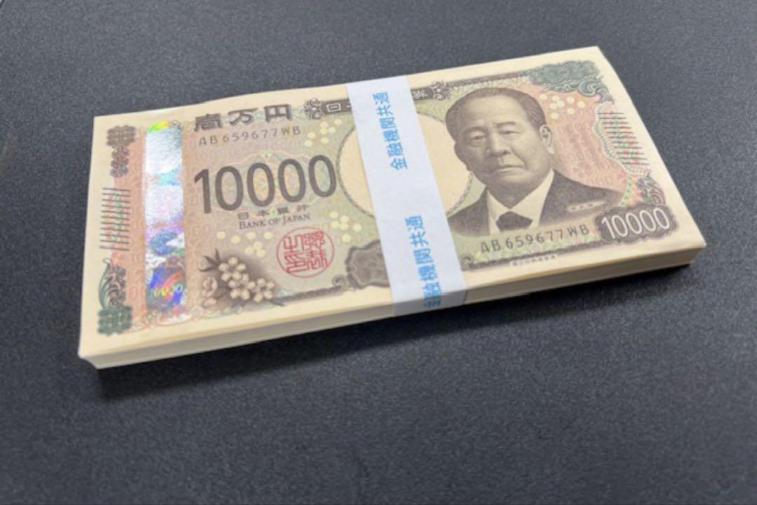 ダミー紙幣100万円札束　100枚すべて印刷　金融機関共通帯封　3束　新品 ダミー紙幣100万円札束 100枚すべて印刷 金融機関共通帯封 1束