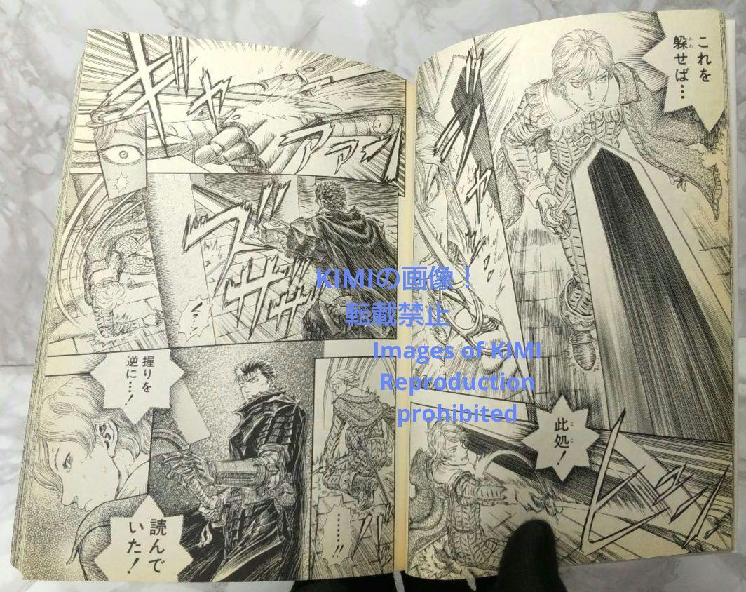 希少 初版 第1刷発行 ベルセルク 30 コミック漫画 本 2006 三浦建太郎