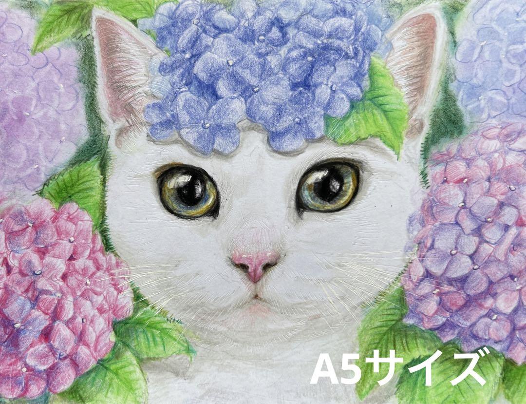 猫 絵画 子猫 イラスト 水彩色鉛筆 油彩色鉛筆 原画 紫陽花と白