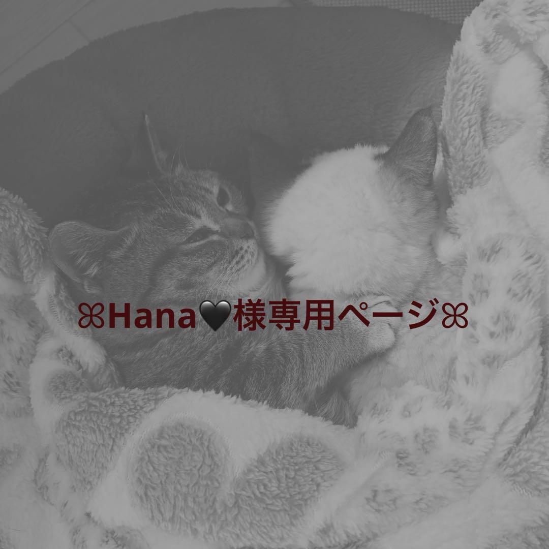 ꕤHana❤︎様専用ページꕤ サコッシュ＆スマホショルダー＆小物入れ