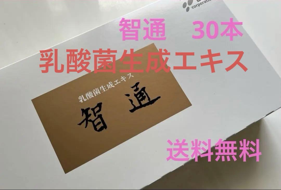 智通　30本