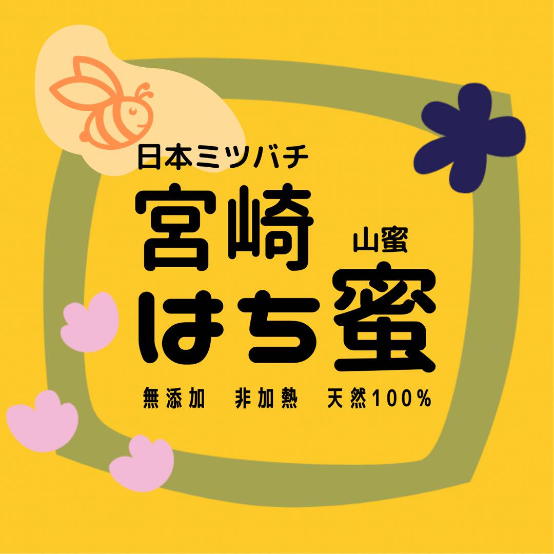 日本蜜蜂 純正ハチミツ 宮崎産 山蜜 400g