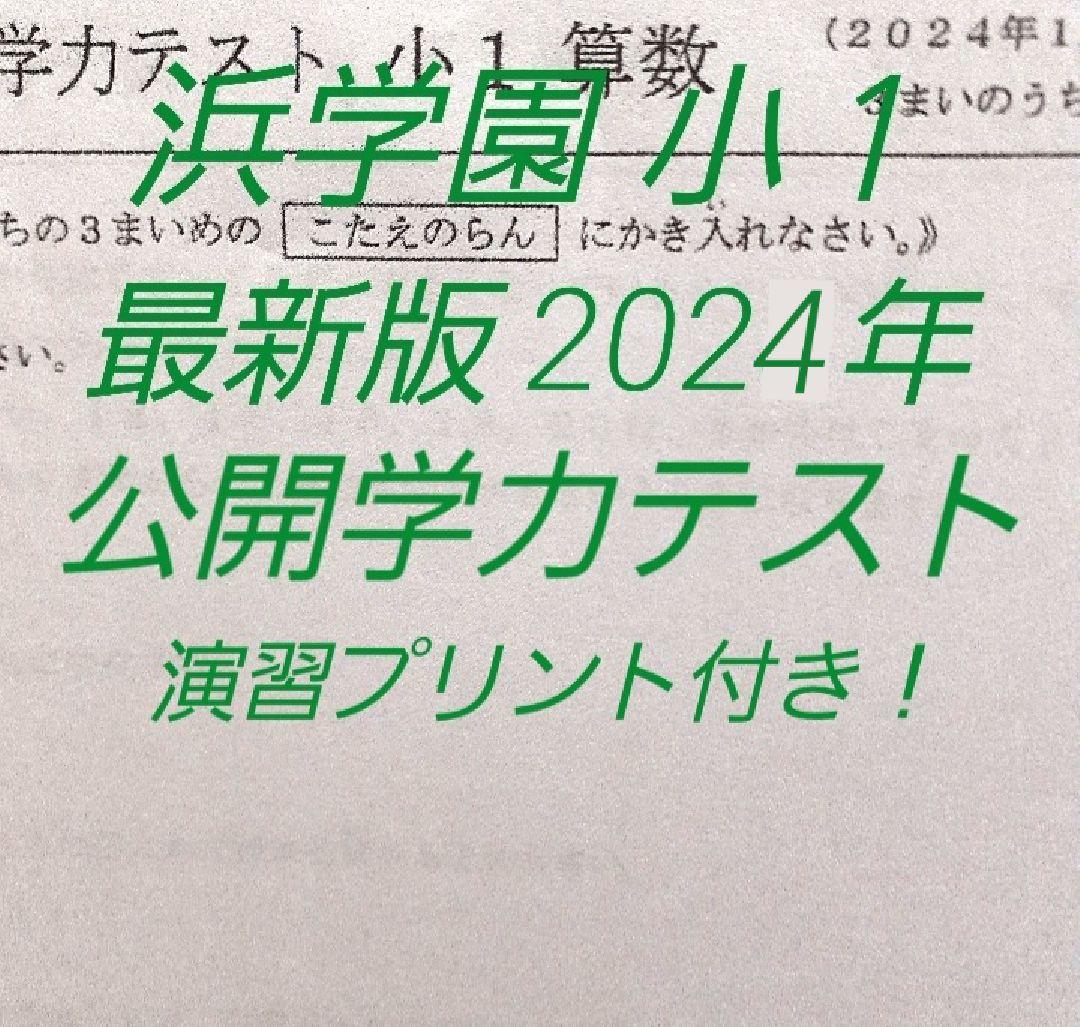 浜学園　2024年～2016年　公開学力テスト　9年分　３教科 浜学園 小4 8年分 2024年～2017年 公開学力テスト 4教科