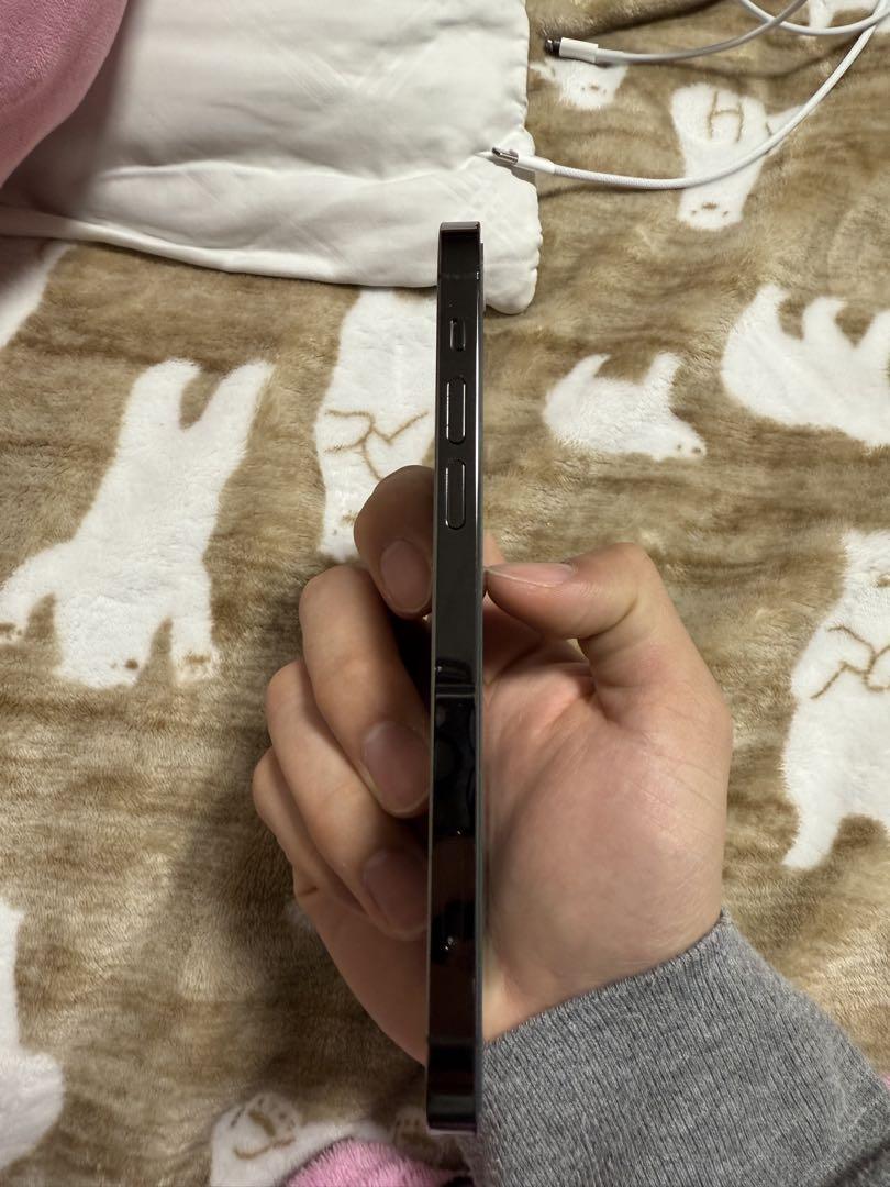 スマートフォン本体 Apple iPhone 12 Pro