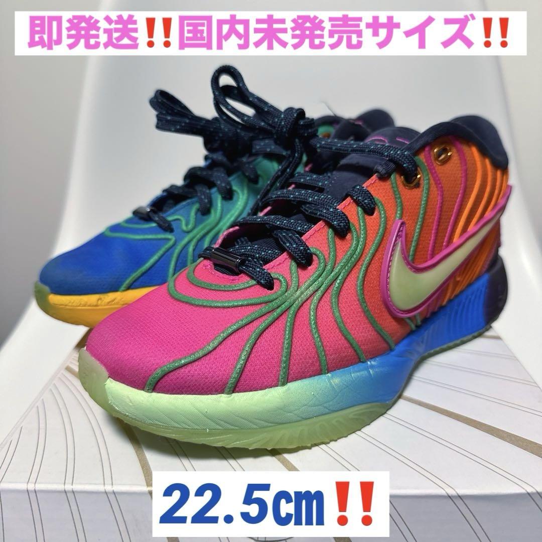 NIKE lebron21 レブロン 21 マルチカラー‼️ 22.5センチ‼️