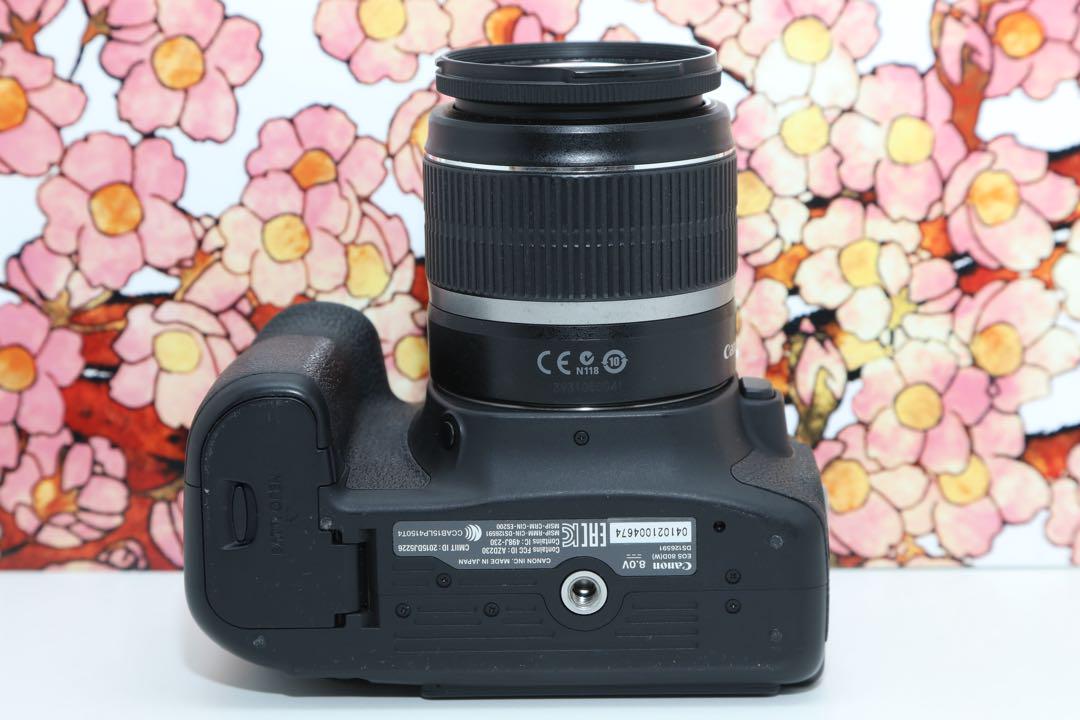 ❤️ハイスペック❤️キヤノン Canon EOS 80D レンズセット❤️