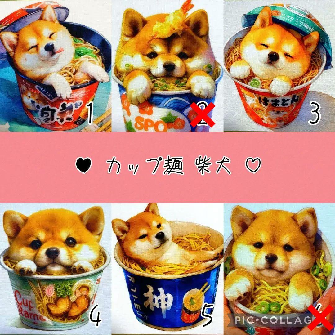 パクパクモンスター ファッション小物