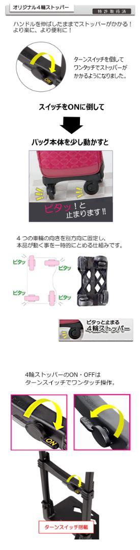 【2,3回のみ使用】SWANY スワニー　ルバンドミニIII　キャリーバッグ