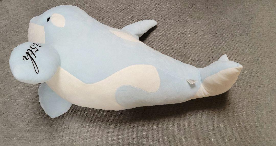 特大非売品 名古屋港水族館 シャチ