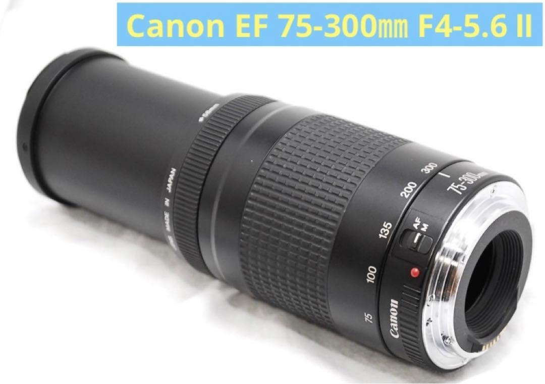 デジタル一眼レフカメラ Canon EF 75-300㎜ F4-5.6 Ⅱ - メルカリ