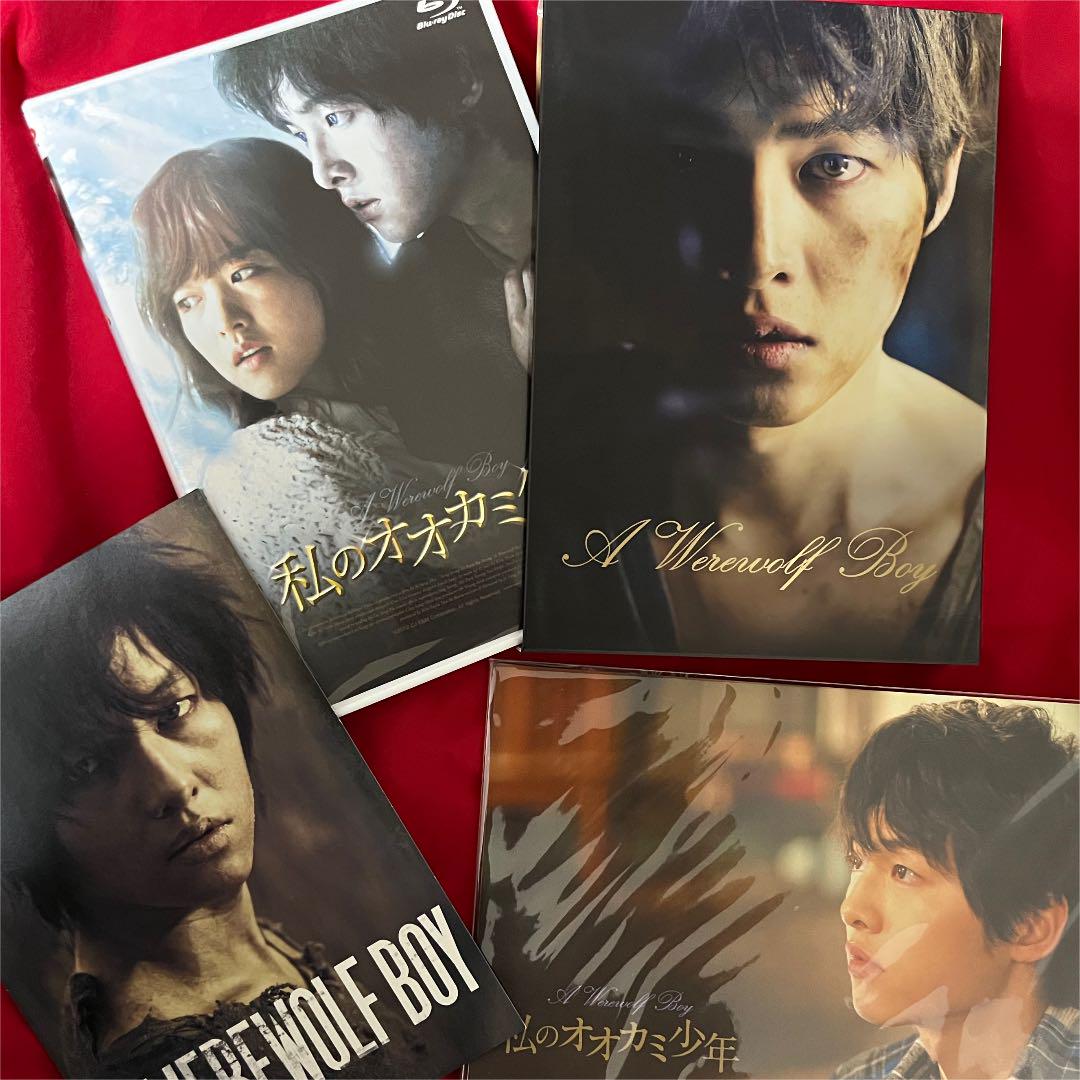 NEW限定品 幻廃盤 blu-ray 初回生産特典付 激レア 私のオオカミ少年 ソン ジュンギ CFygD-m95696105836 セール国産