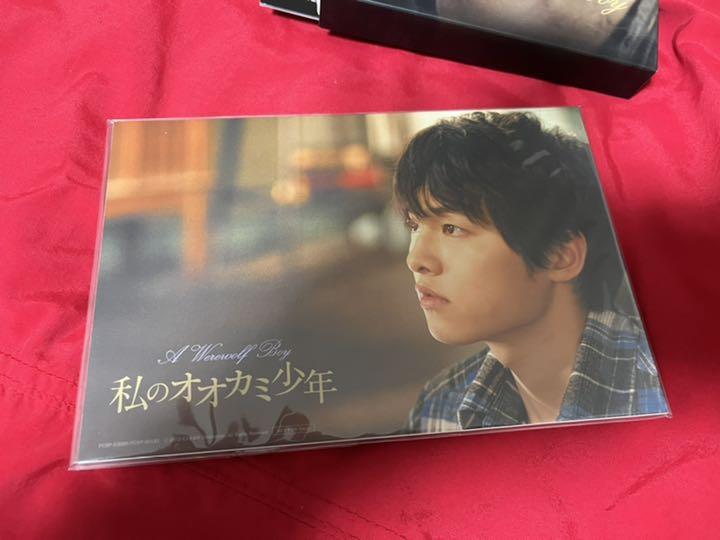 NEW限定品 幻廃盤 blu-ray 初回生産特典付 激レア 私のオオカミ少年 ソン ジュンギ CFygD-m95696105836 セール国産