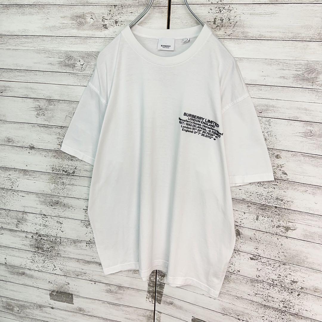 10717【美品・現行モデル】バーバリー☆ラバーロゴ定番カラーtシャツ　白