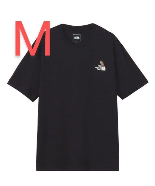ノースフェイス 半袖Tシャツ ショートスリーブズーピッカーティー ブラック M