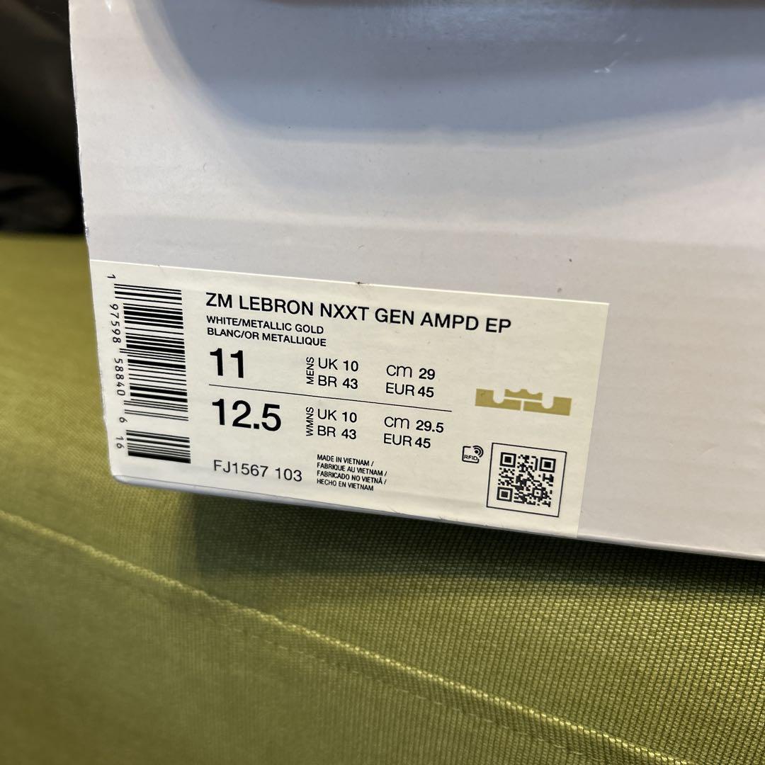 NIKE LEBRON NXXT GEN AMPD EP