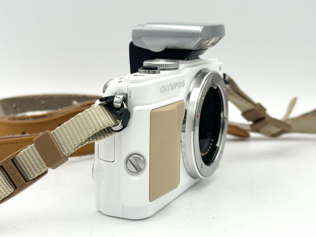 【完動品】OLYMPUS PEN Lite E-PL5 【レリーズ数 679】