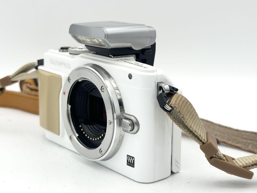【完動品】OLYMPUS PEN Lite E-PL5 【レリーズ数 679】