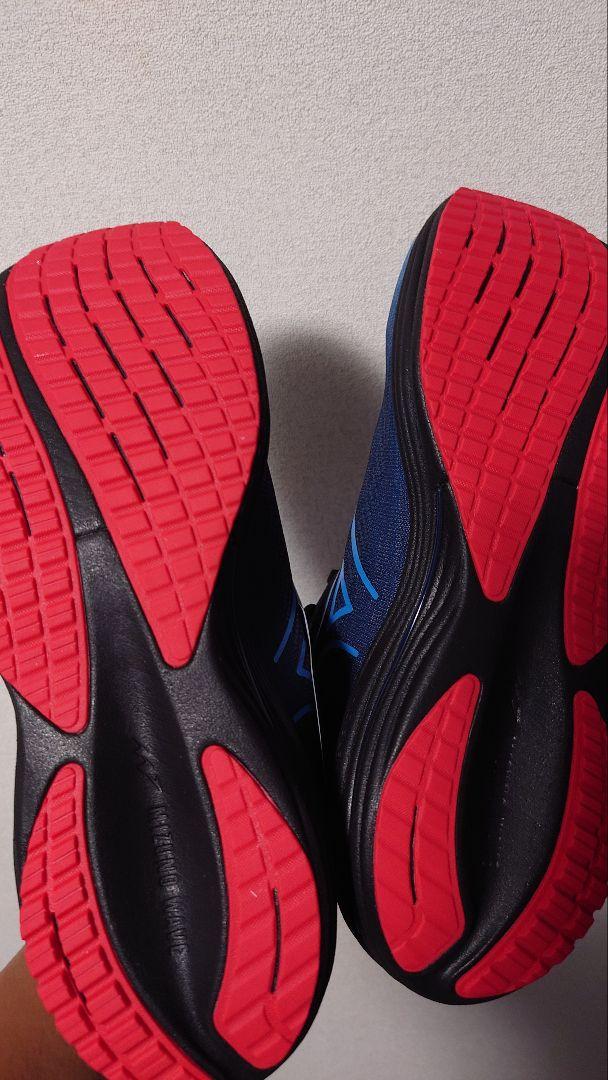 MIZUNO 最新作ウエーブライダー29新品未使用 アムステルダム27.0 cm MIZUNO ミズノ WAVE RIDER 29 ウエーブライダー29