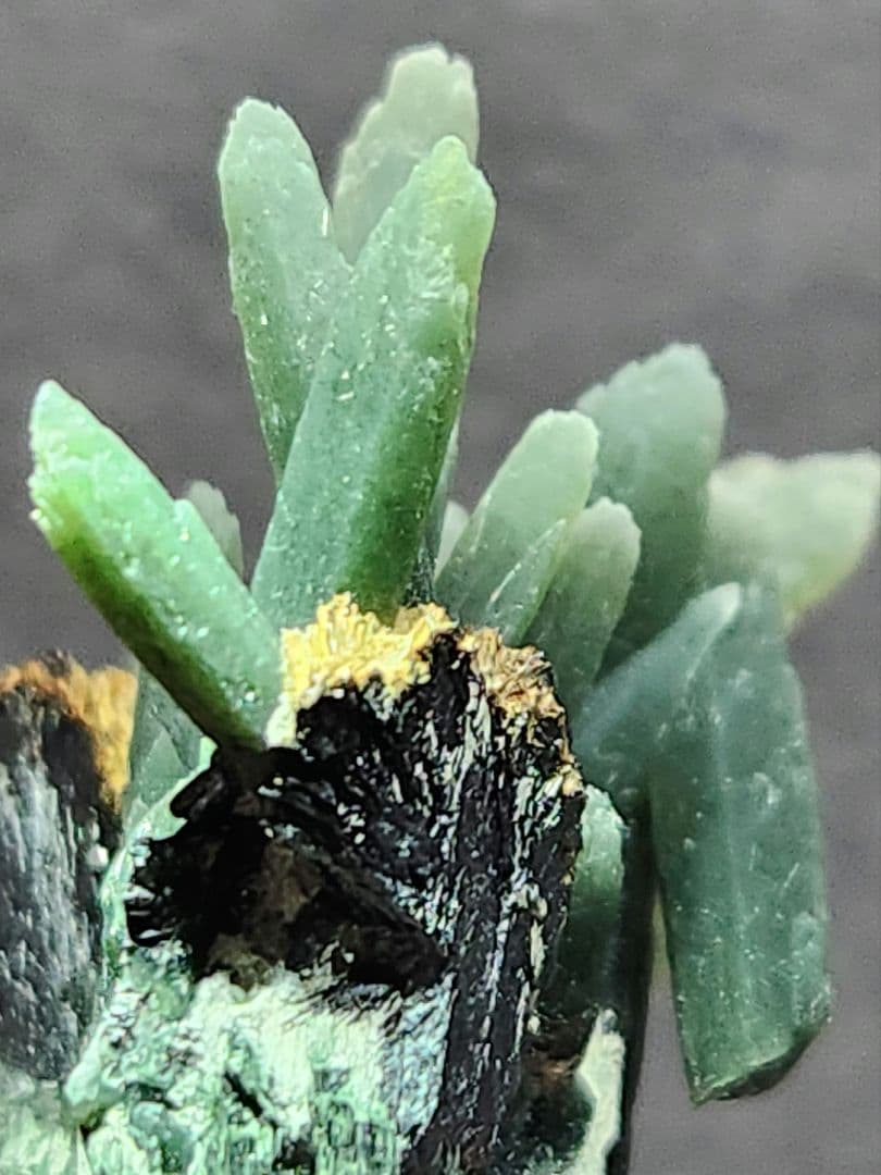 ハイクオリティ✨プラズクォーツ&ヘマタイト(アイアンローズ) 共生原石 ハイクオリティ✨プラズクォーツ&ヘマタイト(アイアンローズ) 共生原石