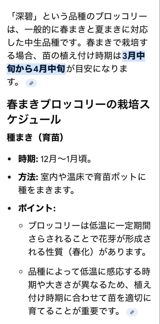 ブロッコリーコート種子 深碧