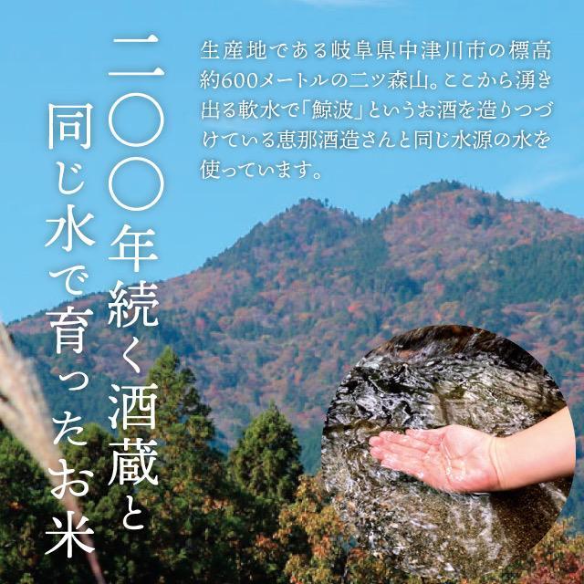 令和5年産✨一等米　希少コシヒカリ！はちたか米✨ 20kg