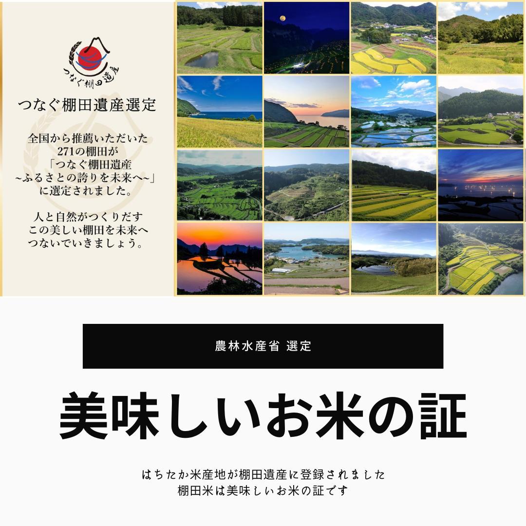 令和5年産✨一等米　希少コシヒカリ！はちたか米✨ 20kg