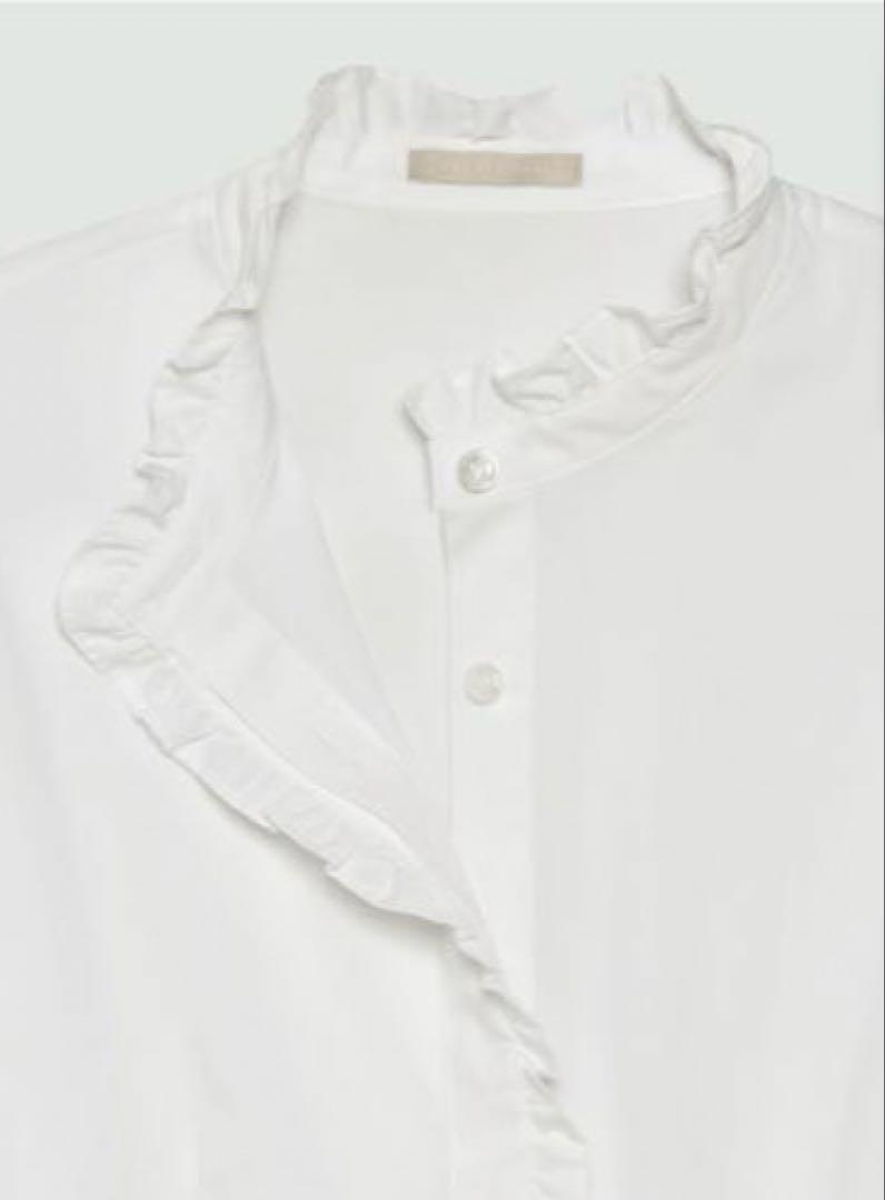 セオリーリュクス Morris Cotton Sana Shirt 美品