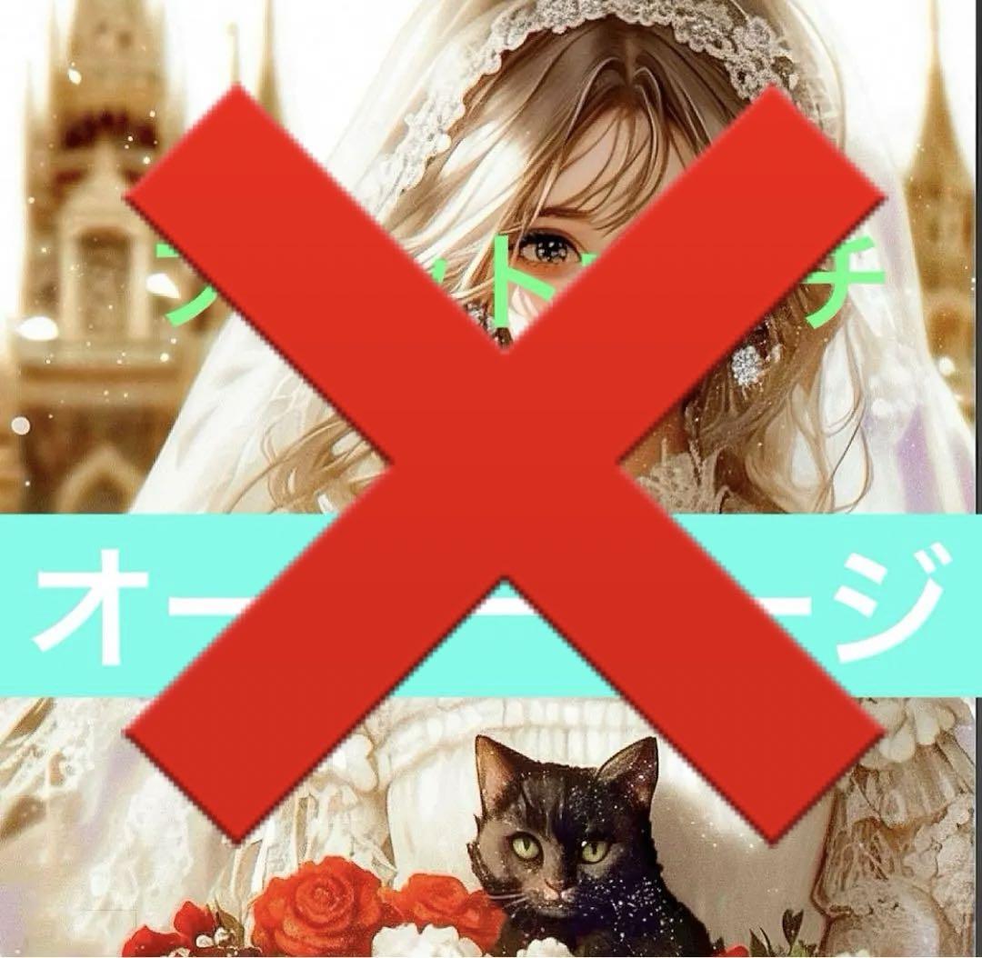 フラットポーチ