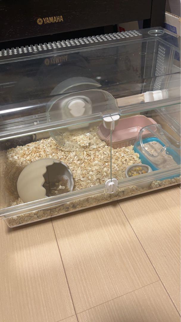 ハムスター飼育セット(Glass Harmony 450 Plus )