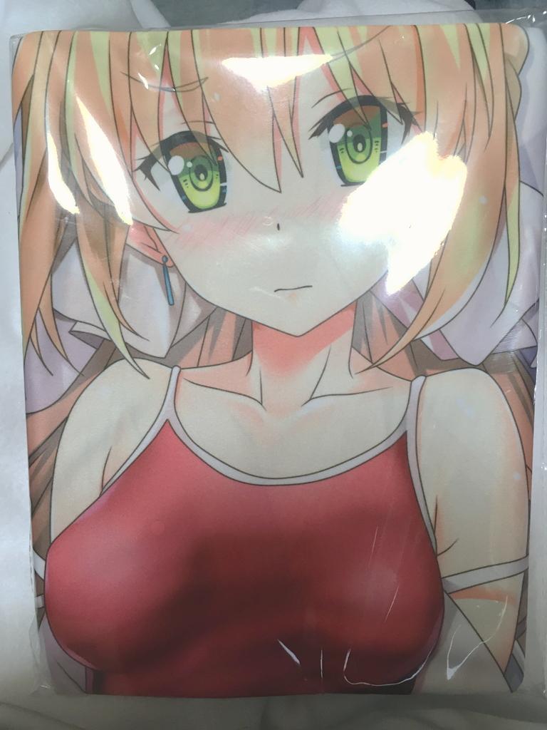 [こたつ(小龍)] ネロ スク水タイツ抱き枕カバー ◆C93