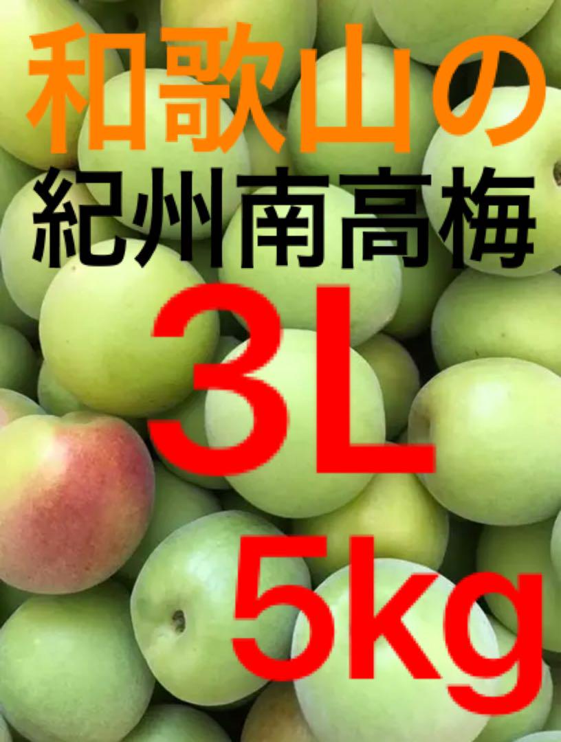 和歌山県産/紀州南高梅/青梅/3Lサイズ/5kg/農家直送