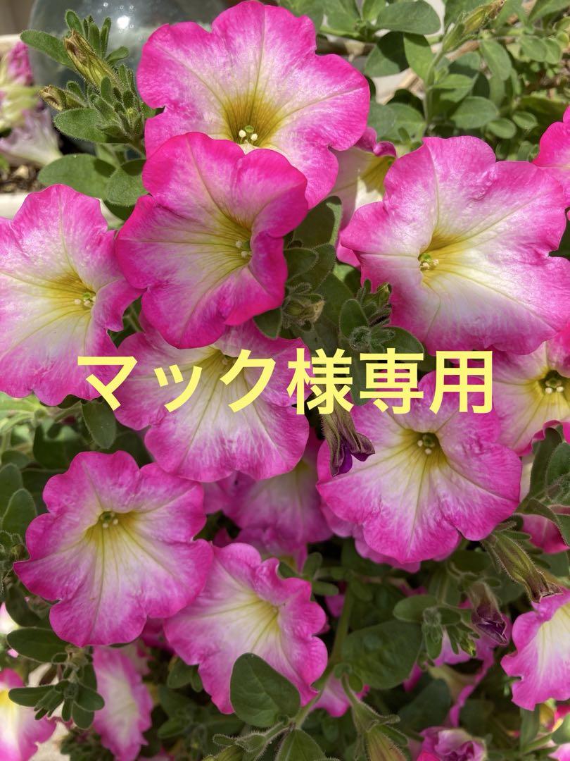 古布絣ハギレ　60種 3セット