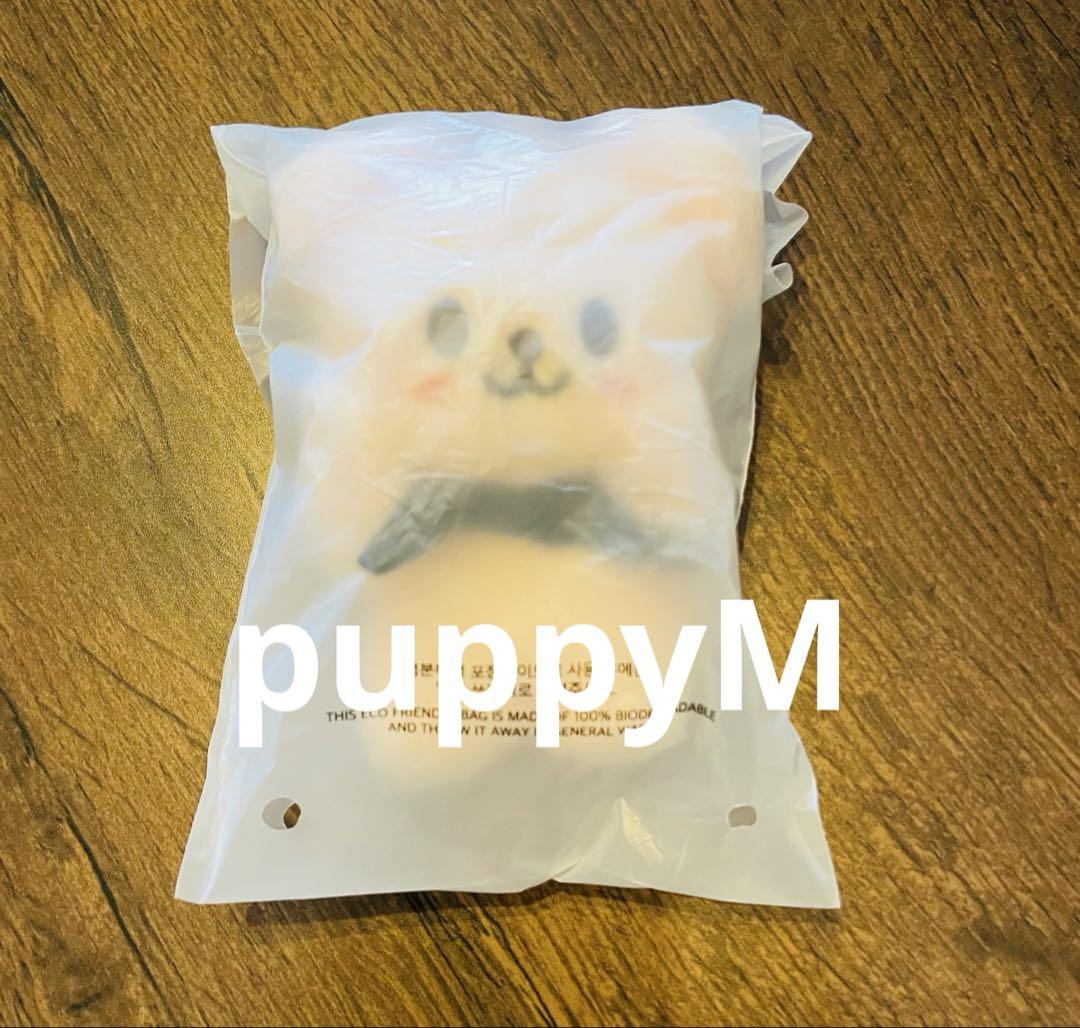 Stray Kids PuppyM Seungmin Mini Face Key Ring Plush Toy
