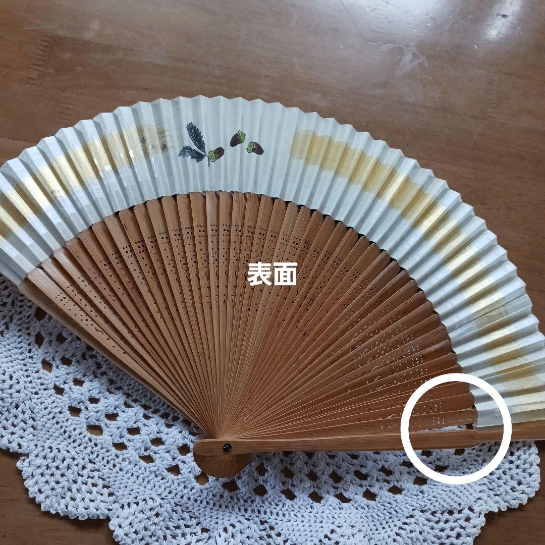 どんぐり Amazon | 三晃商会 SANKO どんぐりのクッション | Sanko | 飼育