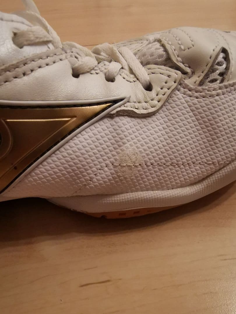 MIZUNO(ミズノ) バドミントンシューズ ウェーブファングPRO 27.5㎝