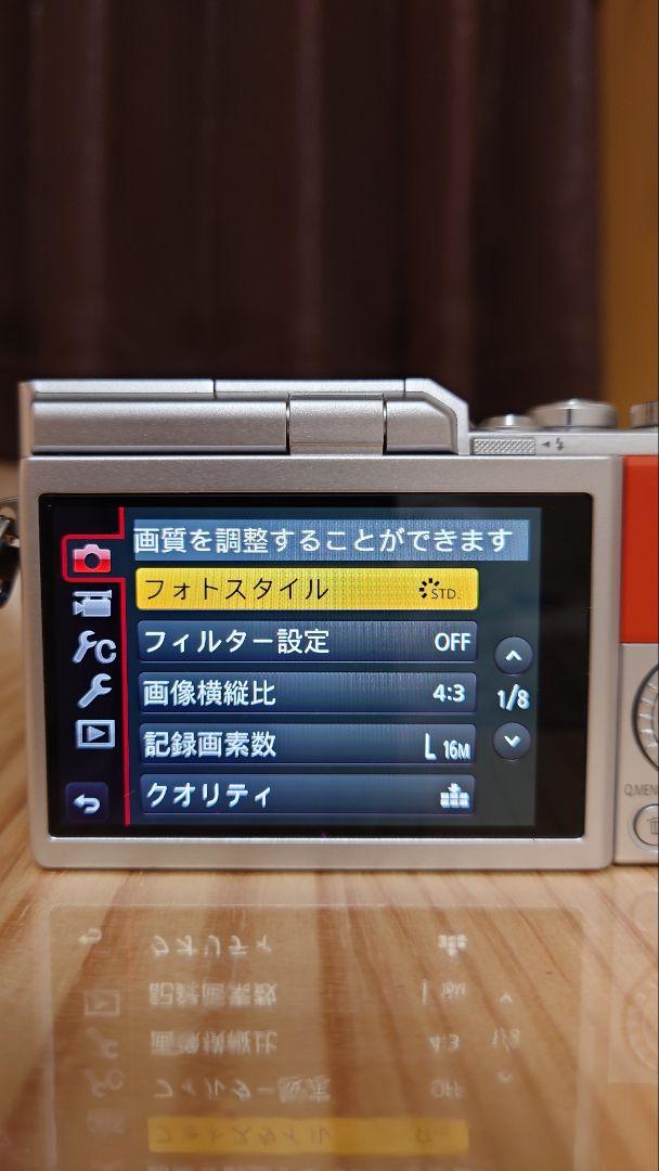 極美品 Panasonic パナソニック LUMIX ルミックス DC-GF10