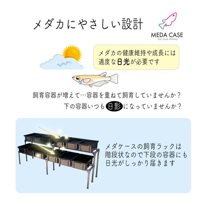 高評価通販 メダカ飼育ラック 2段12個置 KYhqe-m96064240224 新作入荷低価