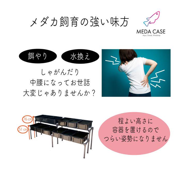 高評価通販 メダカ飼育ラック 2段12個置 KYhqe-m96064240224 新作入荷低価