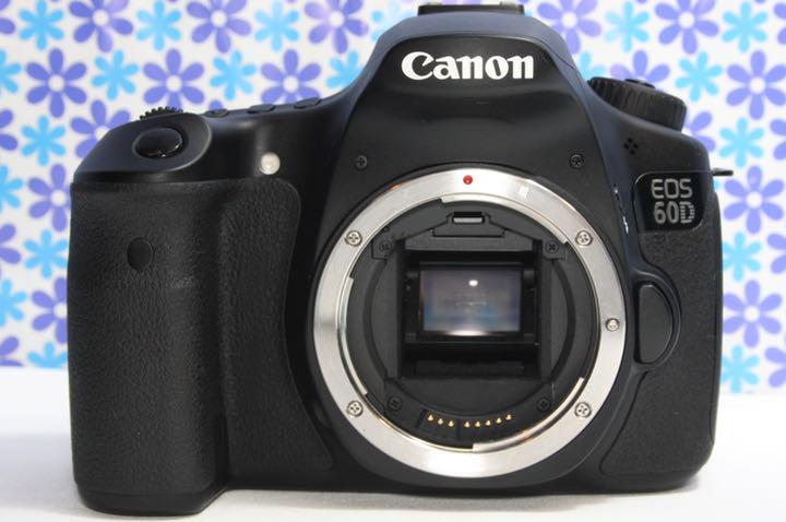 定番低価 極美品❤️Canon 60D❤️超高画質❤️初心者おすすめ❤️ JBnrI-m96065784137 EOS 安い在庫